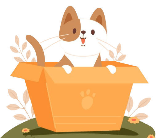 Nini, a cat sitting in a cardboard box