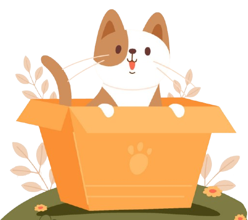 Nini the cat sitting in a box