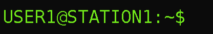 A terminal window showing a bash prompt with a blinking cursor