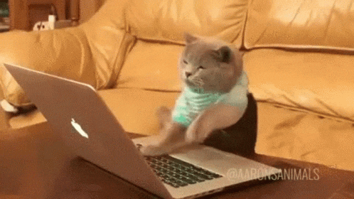 A cat typing furiously on a keyboard